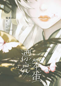 漂亮笨蛋免费阅读全文